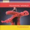 Acoustic World - FLAMENCO